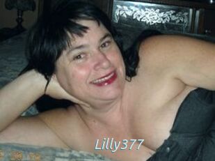 Lilly377