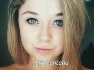 LillyLantana