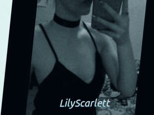 Lily_Scarlett