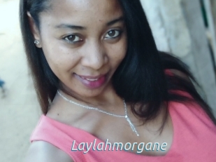 Laylahmorgane