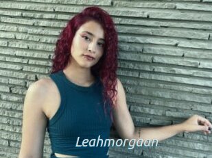 Leahmorgaan