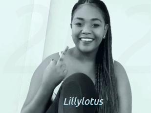 Lillylotus