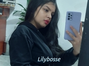 Lilybosse