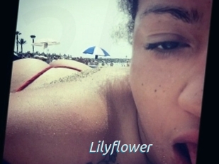 Lilyflower