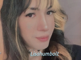 Lisahumbolt