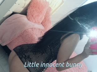 Little_innocent_bunny