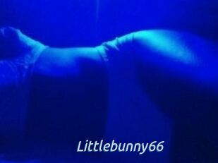 Littlebunny66