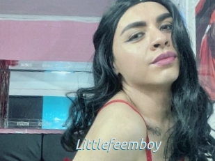 Littlefeemboy