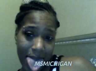 MSMICHIGAN