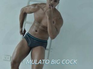 MULATO_BIG_COCK