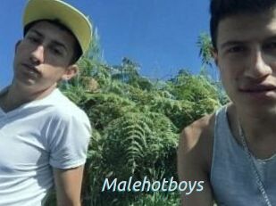 Malehotboys