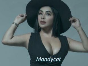 Mandycat