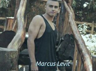 Marcus_Levit