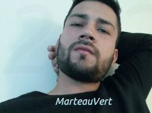 MarteauVert