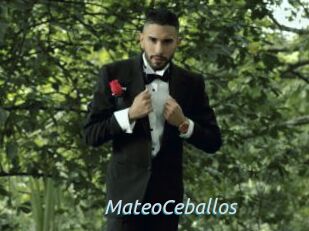 MateoCeballos