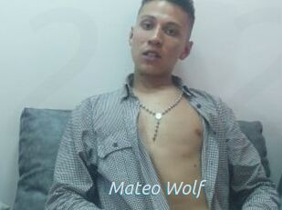 Mateo_Wolf