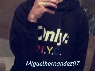 Miguel_hernandez97