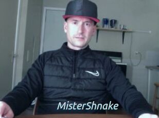 MisterShnake