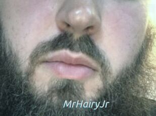 MrHairyJr