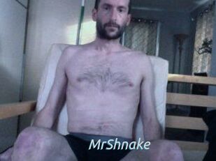 MrShnake