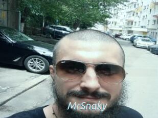 MrSnaky