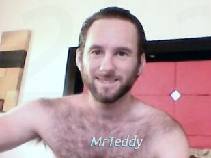 MrTeddy