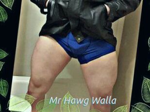 Mr_Hawg_Walla