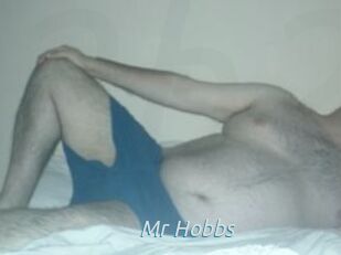 Mr_Hobbs