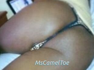 MsCamelToe