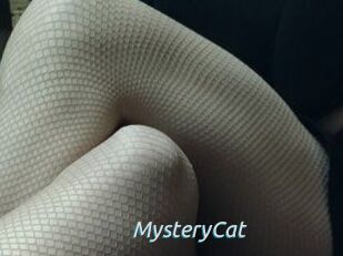 Mystery_Cat