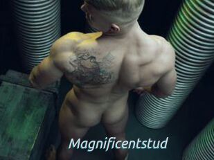 Magnificentstud