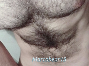 Marcobear18