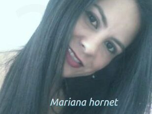 Mariana_hornet