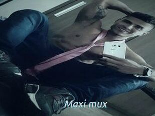 Maxi_mux