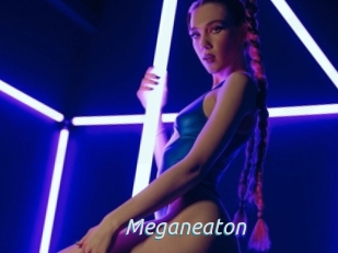 Meganeaton