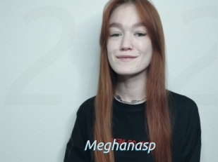 Meghanasp