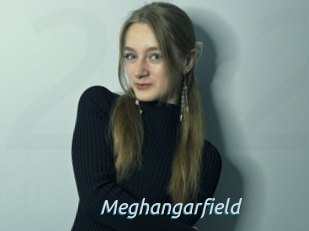 Meghangarfield