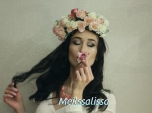 Meilssalissa