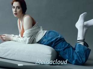 Melisacloud