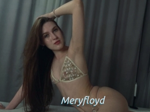 Meryfloyd