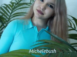 Michelebush