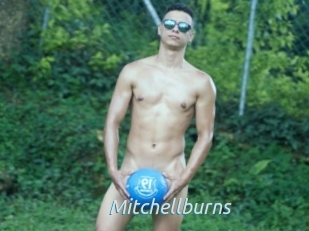 Mitchellburns