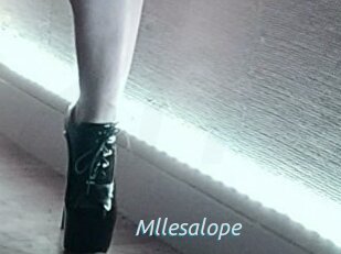 Mllesalope