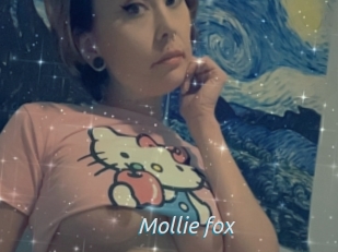 Mollie_fox