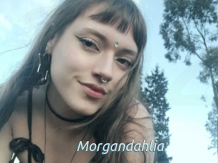 Morgandahlia