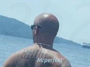 Mrperfect