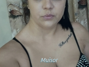 Muisor