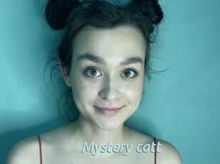 Mystery_catt