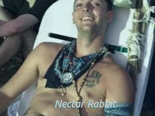 Nectar_Rabbit