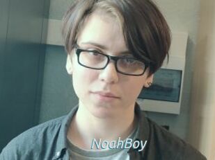 NoahBoy